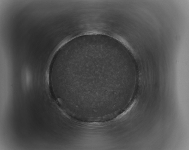 X0000101701173200807171508