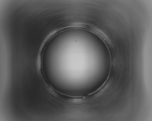 X0000101701180200807171508