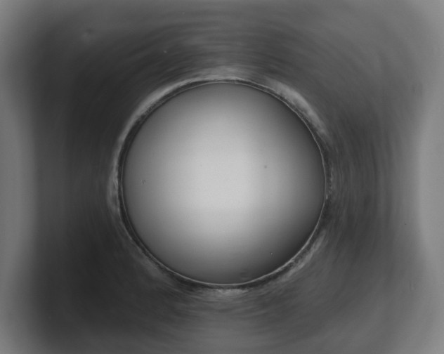 X0000101701184200807171508