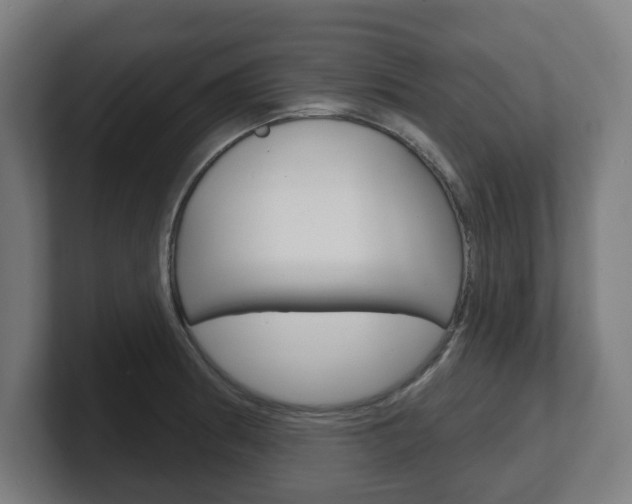 X0000101701186200807171508