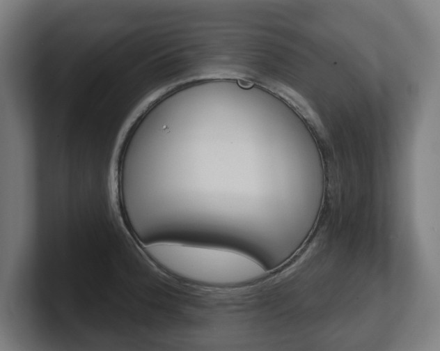 X0000101701188200807171508