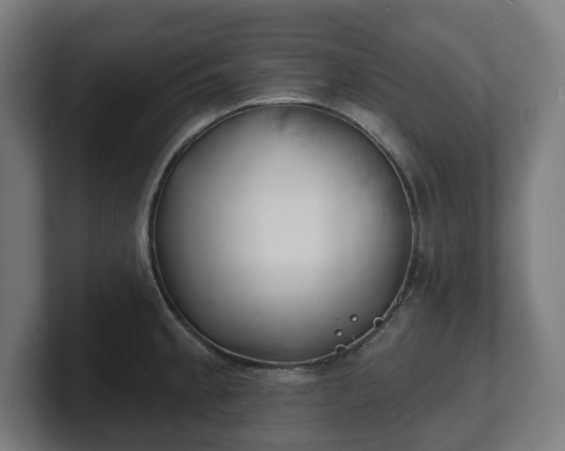 X0000101701189200807171508