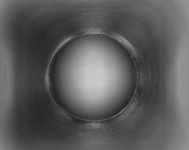 X0000101701190200807171508