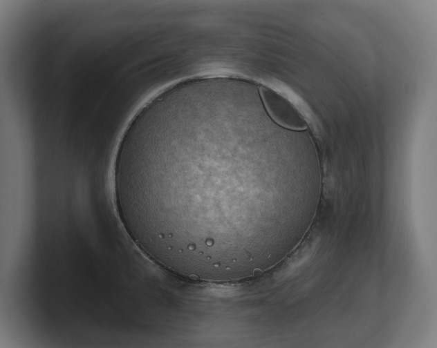 X0000101701191200807171508