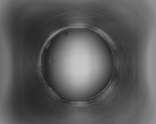 X0000101701192200807171508