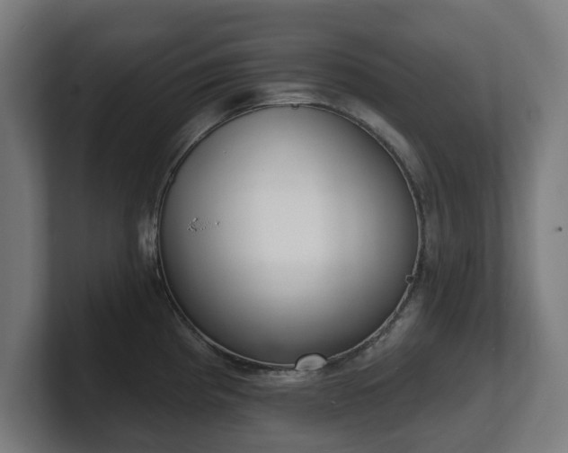 X0000101701193200807171508