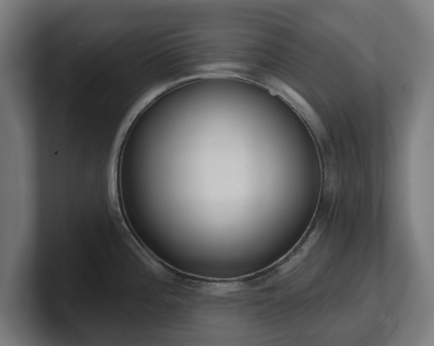 X0000101701196200807171508