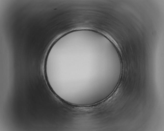 X0000101701197200807171508