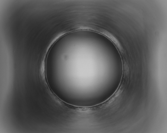 X0000101701198200807171508