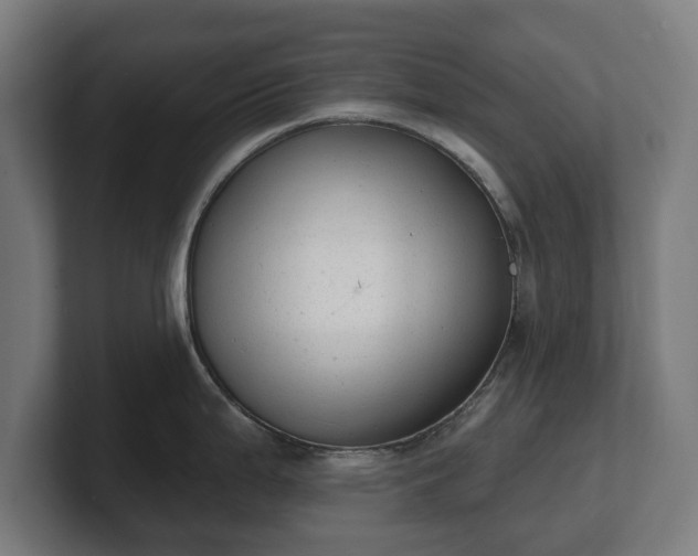 X0000101701199200807171508