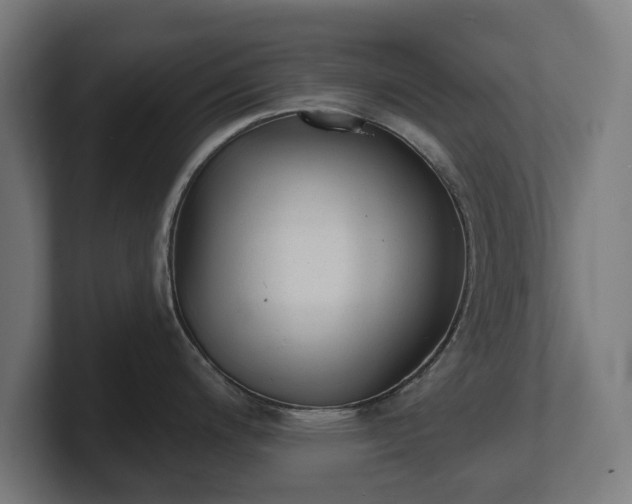 X0000101701200200807171508