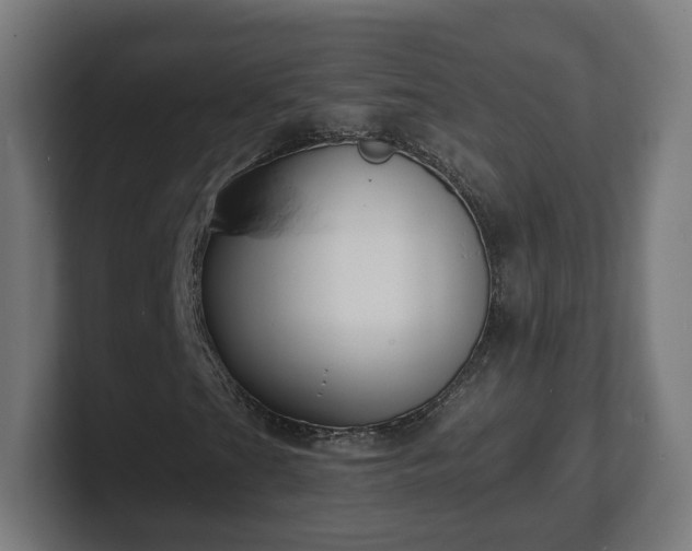 X0000101701201200807171507