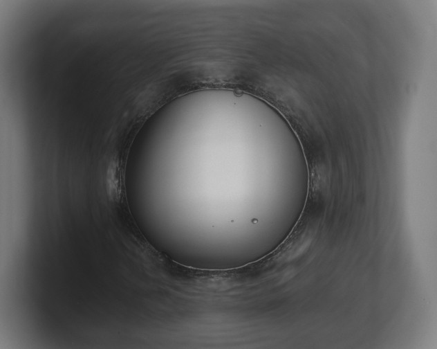 X0000101701202200807171507