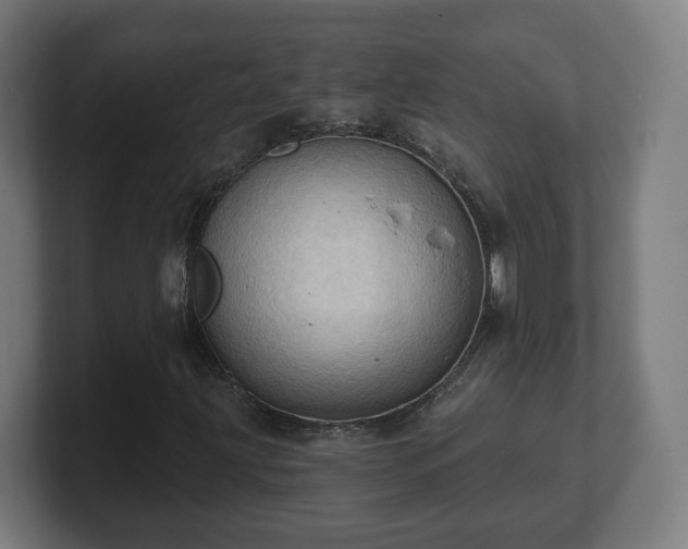 X0000101701203200807171507