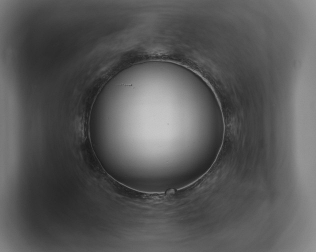 X0000101701205200807171507