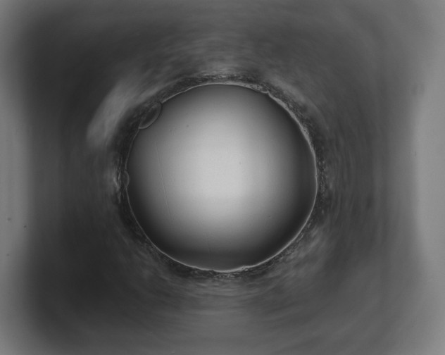 X0000101701206200807171507