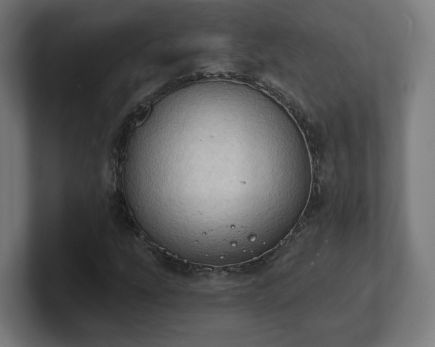 X0000101701207200807171507