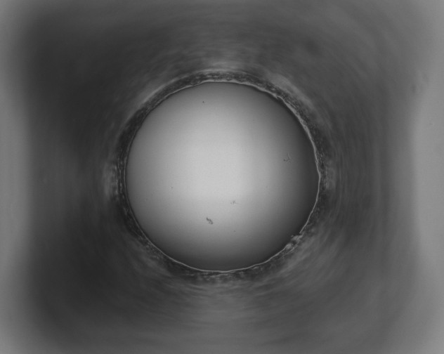 X0000101701208200807171507