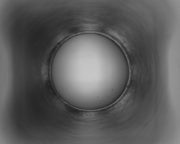 X0000101701211200807171507