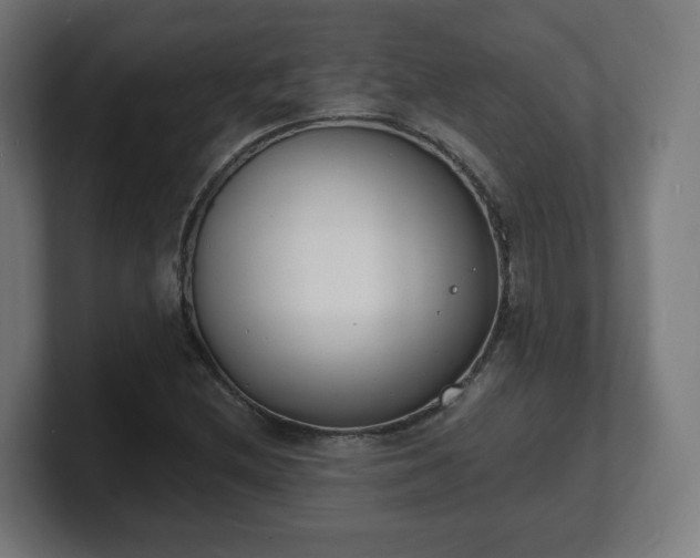 X0000101701212200807171507