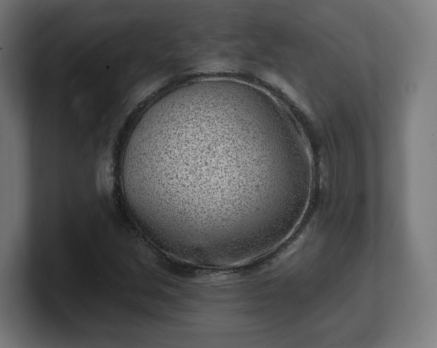 X0000101701213200807171507