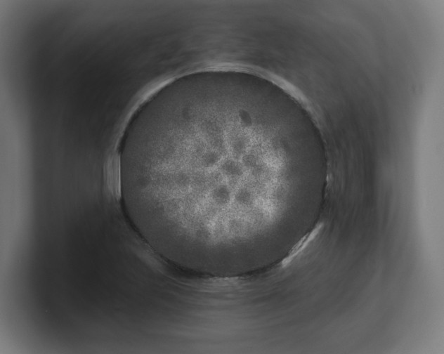 X0000101701223200807171507