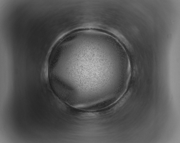 X0000101701224200807171507