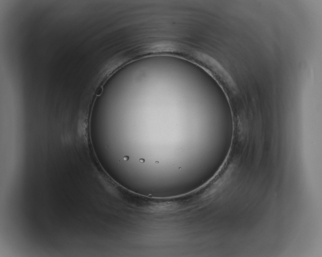 X0000101701225200807171507