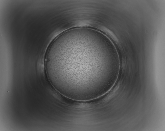 X0000101701226200807171507