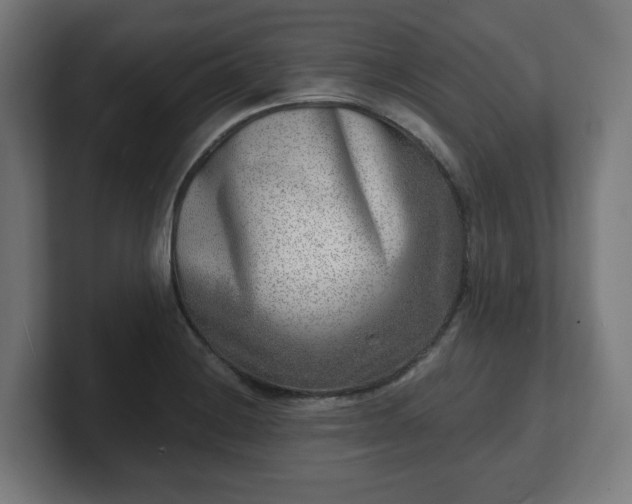 X0000101701228200807171507