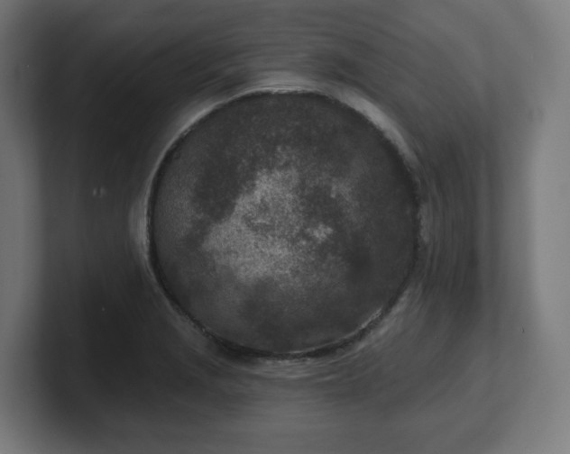 X0000101701229200807171507