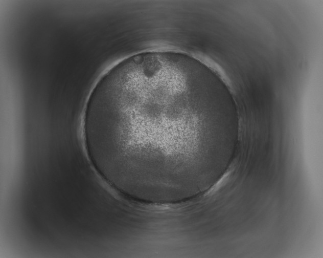 X0000101701231200807171508