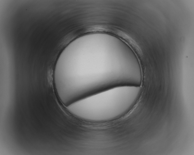 X0000101701233200807171508