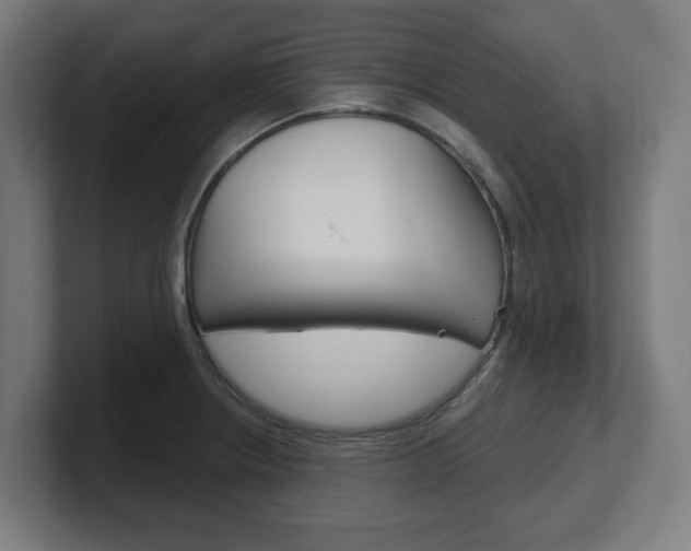 X0000101701234200807171508