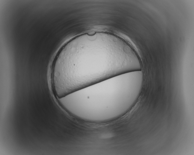 X0000101701235200807171508