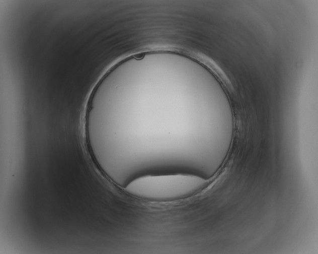 X0000101701236200807171508