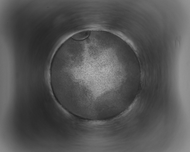 X0000101701239200807171508