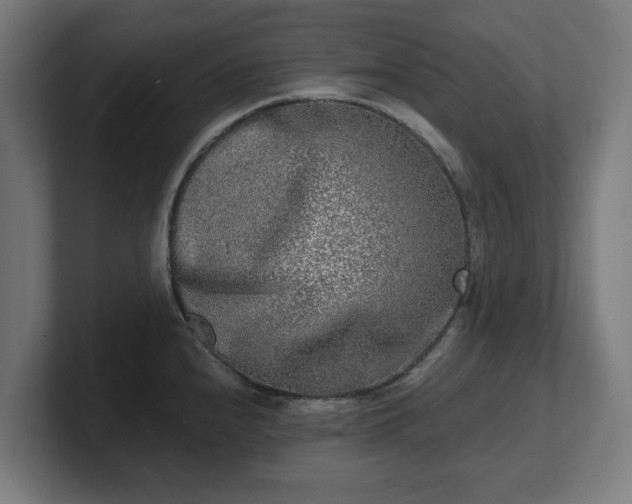 X0000101701240200807171508