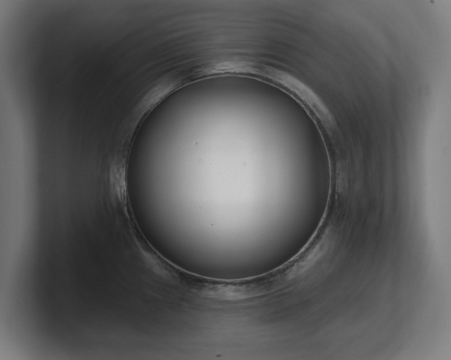 X0000101701241200807171508