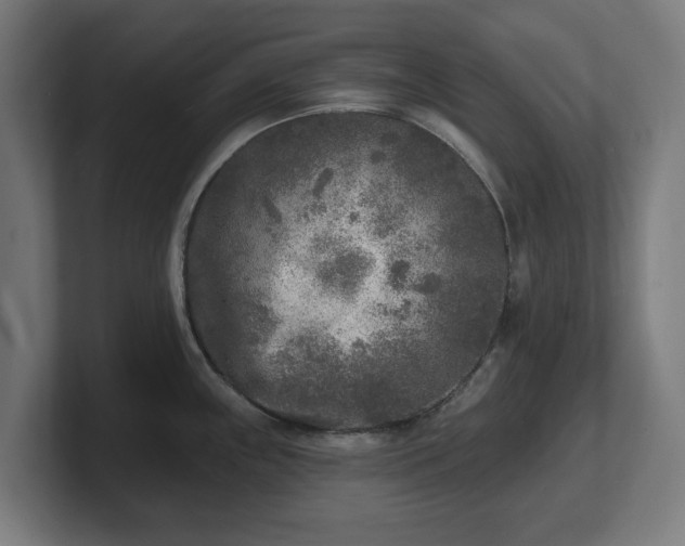 X0000101701243200807171508