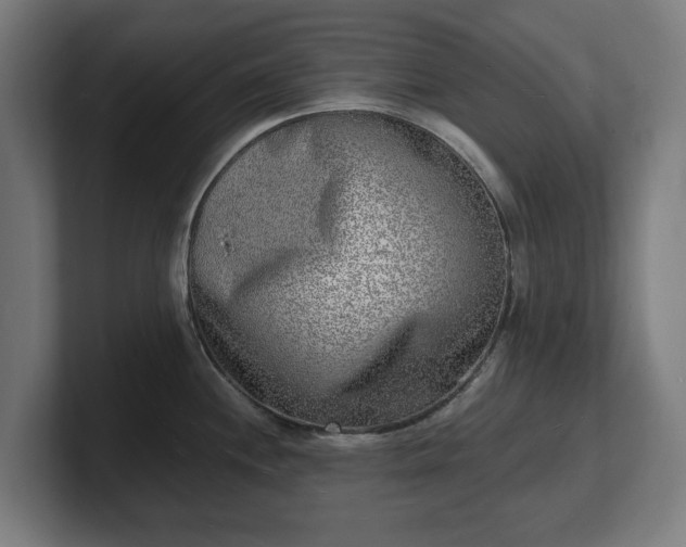 X0000101701244200807171508