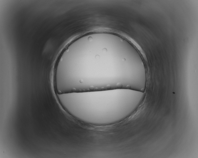 X0000101701245200807171508