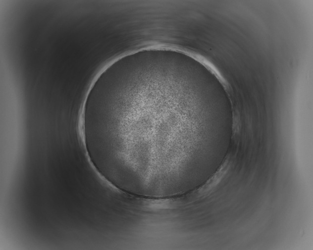 X0000101701247200807171508