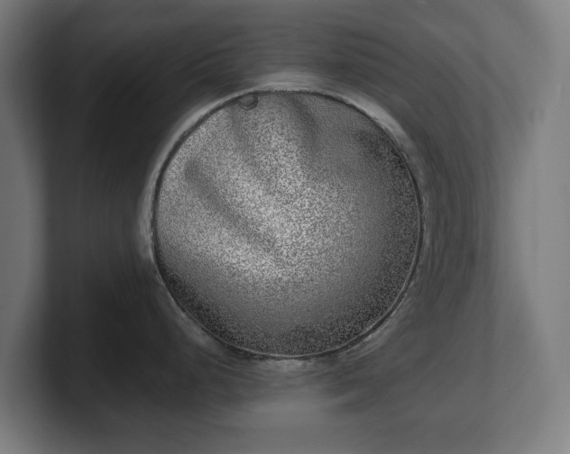 X0000101701248200807171508