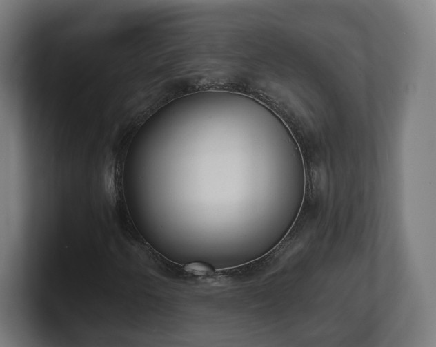 X0000101701250200807171507