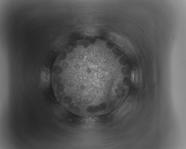 X0000101701251200807171507