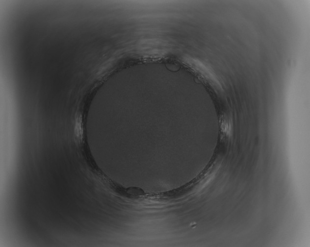 X0000101701252200807171507