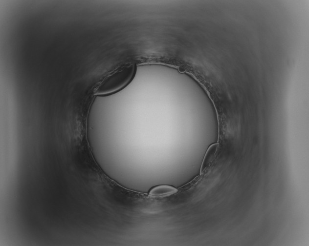 X0000101701253200807171507