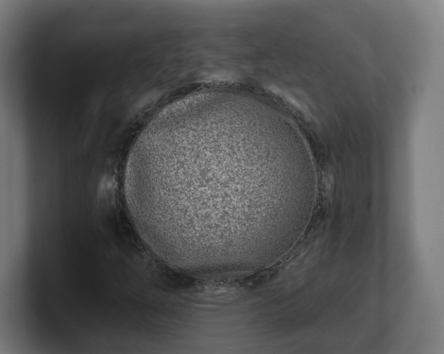 X0000101701254200807171507