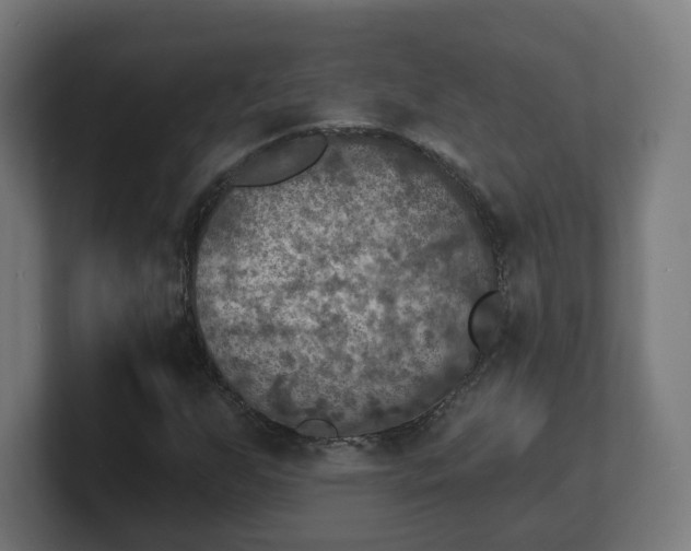 X0000101701255200807171507